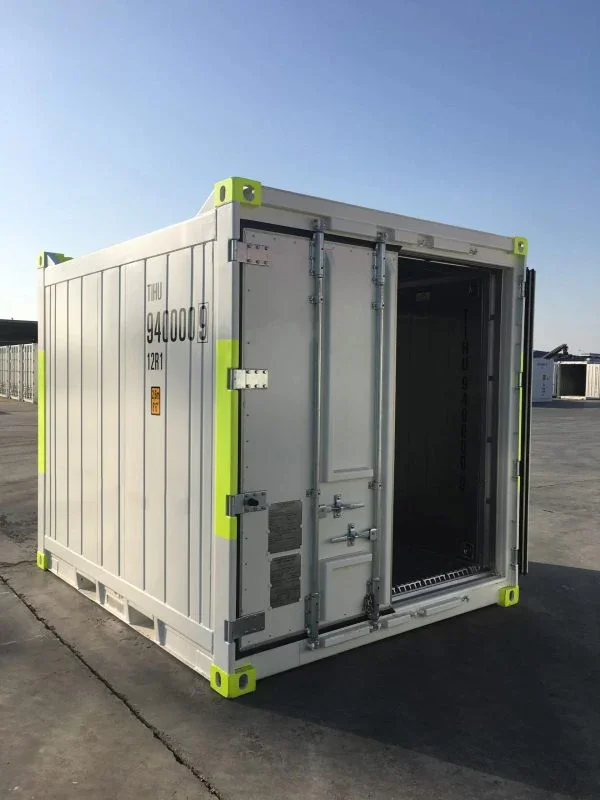 Contenedor frigorífico DNV 10 pies para offshore